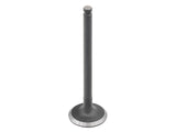 Intake Valve Suz