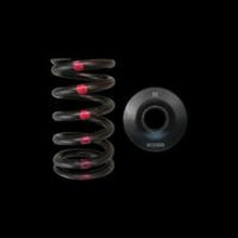 Load image into Gallery viewer, Brian Crower Nissan SR20DE/DET Single Spring &amp; Steel Retainer Kit - Mo-Moto