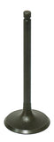 Intake Valve