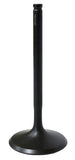 Intake Valve