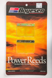 Motorcycle Reeds