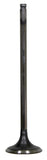 Intake Valve