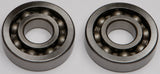 Crankshaft Bearing/Seal Kit