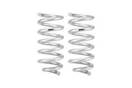 Eibach 18-24 Ford Expedition Stage 1 Rear Spring System - Mo-Moto