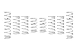 Eibach Pro-UTV 2023 Polaris RZR PRO XP 4 Sport/Premium Stage 2 Performance Springs w/o Hardware - Mo-Moto