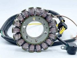 Ricks Motorsport Polaris Stator