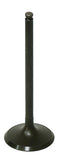 Intake Valve
