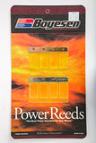 Motorcycle Reeds