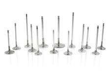 Load image into Gallery viewer, Ferrea Nissan NEO 29.65mm 5.96mm 97.95mm 22 Deg Flo Stock Competition Plus Exhaust Valve - Set of 12 - Mo-Moto