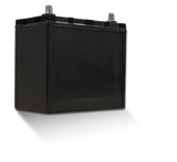 Yuasa 46B24R/NS60 Import Speciality 12-Volt Battery